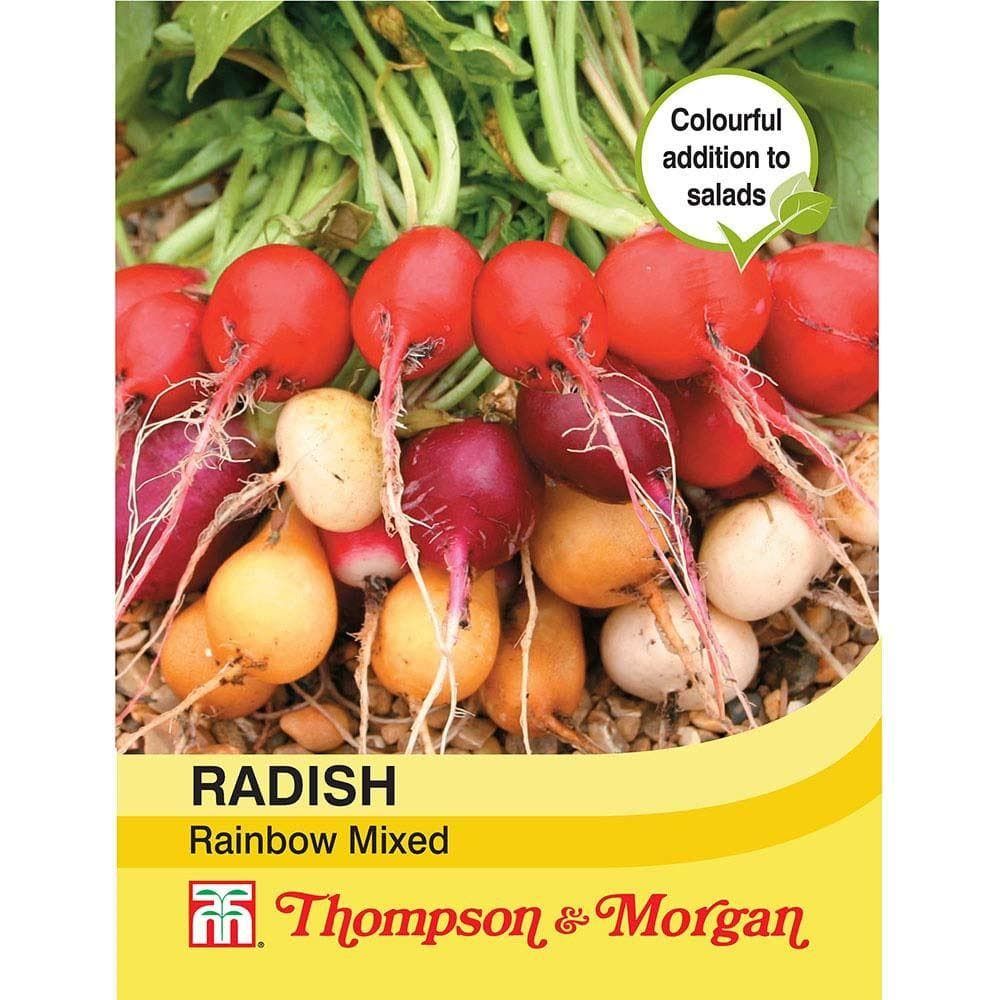 Thompson & Morgan Radish Rainbow Mixed 400 Seed