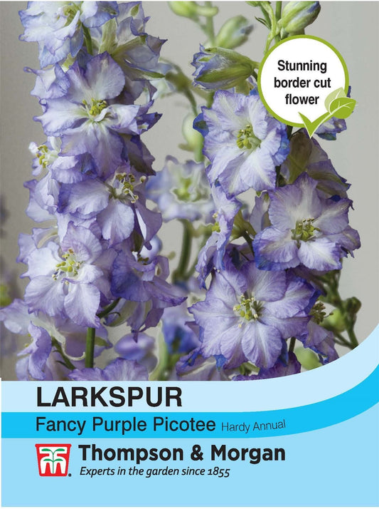 Thompson & Morgan Flowers Larkspur Fancy Purple Picotee 130 Seed