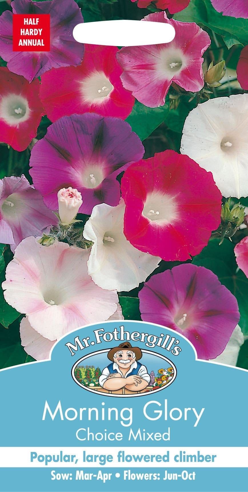 Mr Fothergills Morning Glory Choice Mixed 50 Seeds