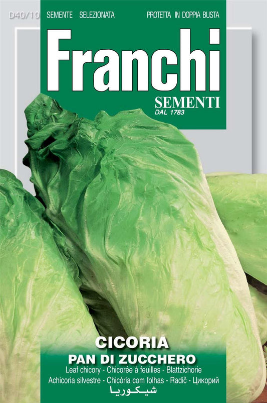 Franchi Seeds of Italy Chicory Pan Di Zucchero Seeds