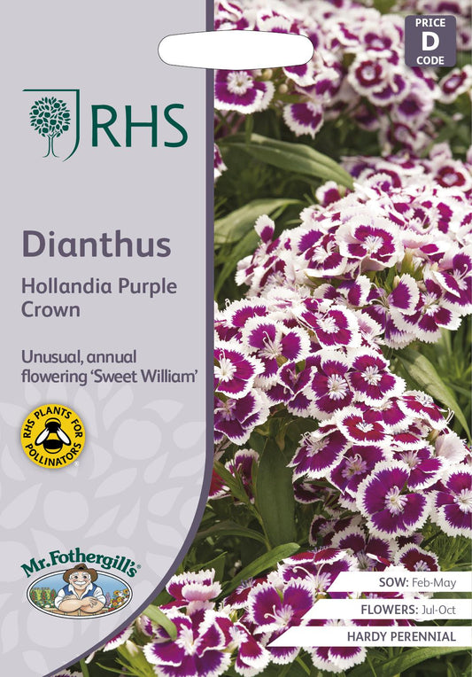 Mr Fothergills - RHS - Flower - Dianthus - Hollandia Purple Crown - 100 Seeds