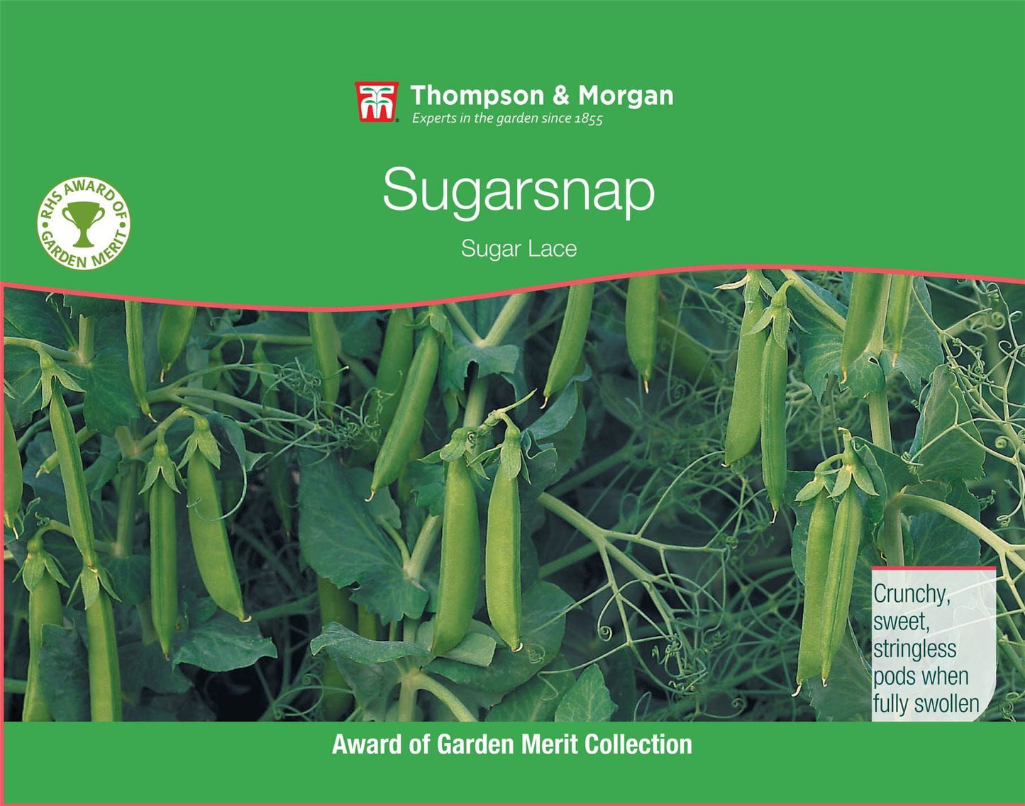 Thompson & Morgan RHS Vegetables Sugarsnap Sugar Lace 125 Seed