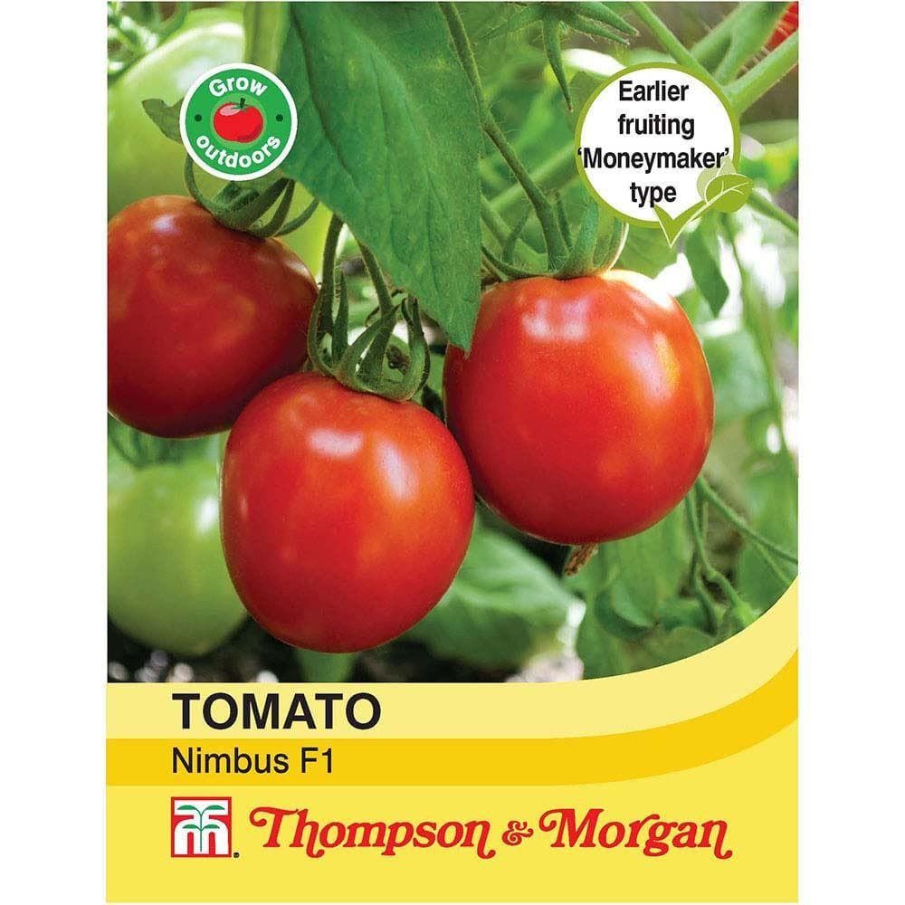 Burpee Organic Brandywine Red Tomato Vegetable Seed, 1-Pack 