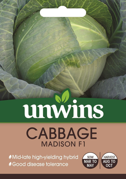 Unwins Cabbage (Round) Madison F1 Seeds