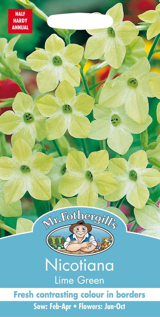 Mr Fothergills Nicotiana Lime Green 1000 Seeds