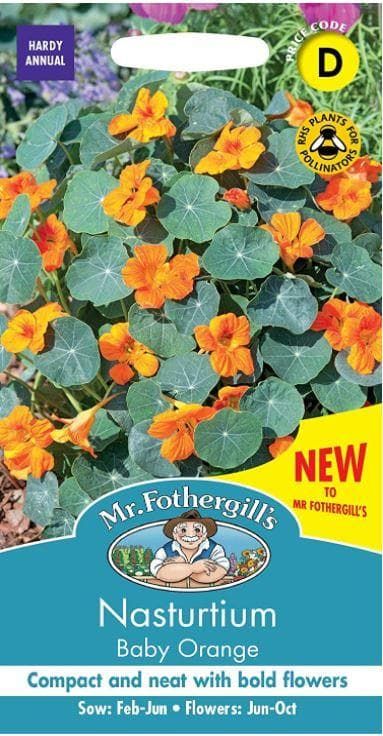 Mr Fothergills - Flower - Nasturtium Baby Orange - 25 Seeds