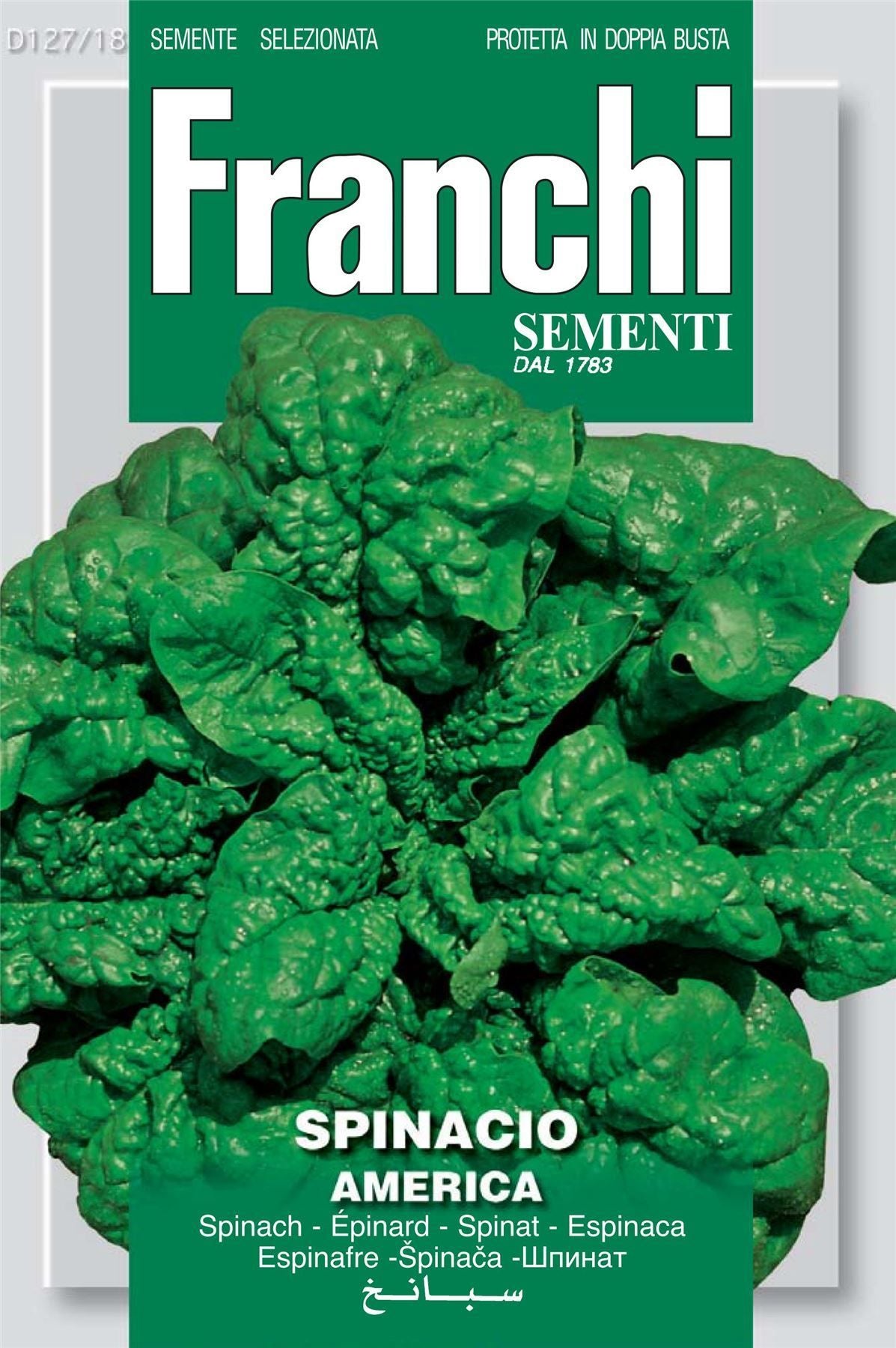 Franchi Seeds of Italy Spinach America Seeds