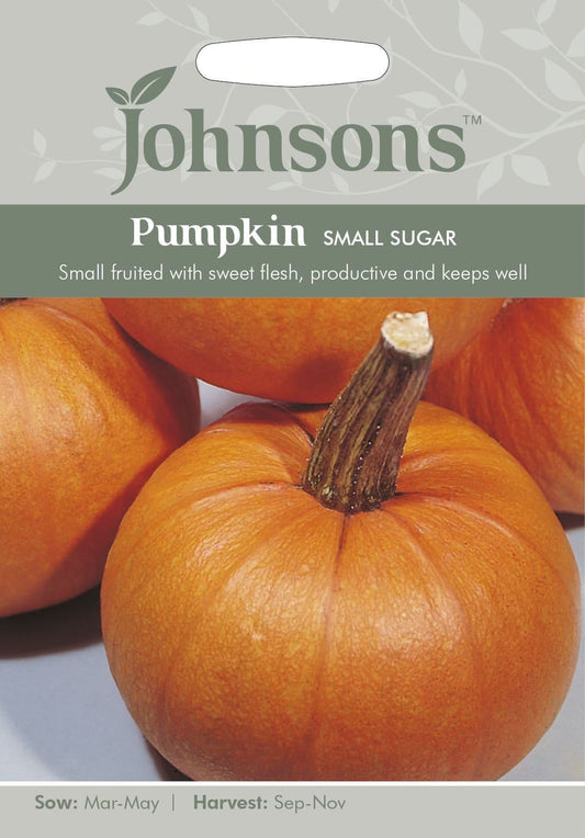 Johnsons Pumpkin Small Sugar 25 Seeds