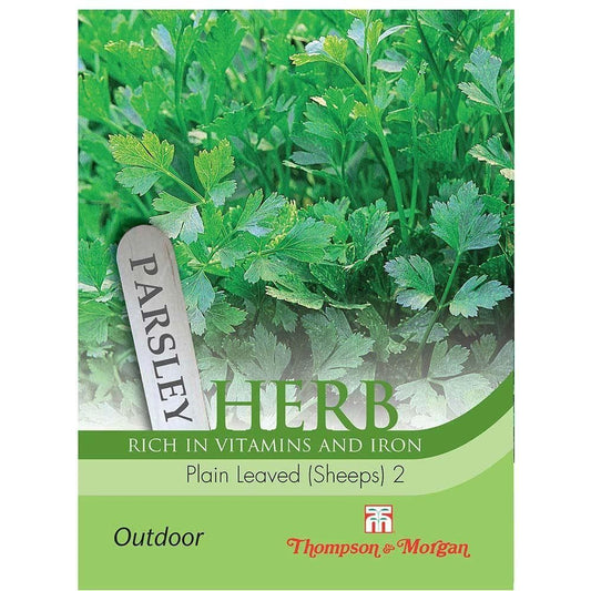 Thompson & Morgan Parsley Plain Leaved (Sheeps) 2 1000 Seed