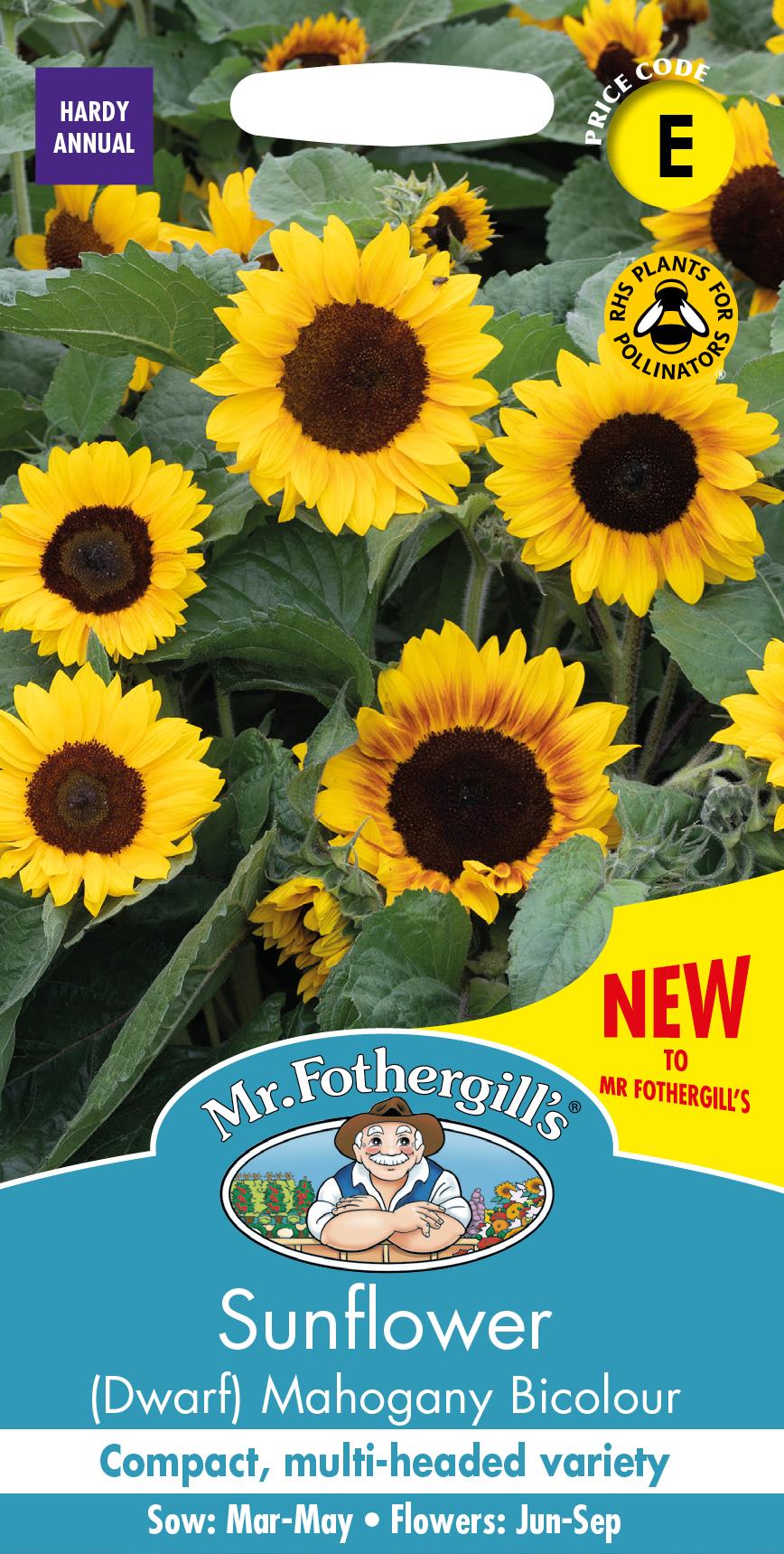 Mr Fothergills - Flower - Sunflower - Mahogany - 20 Seeds