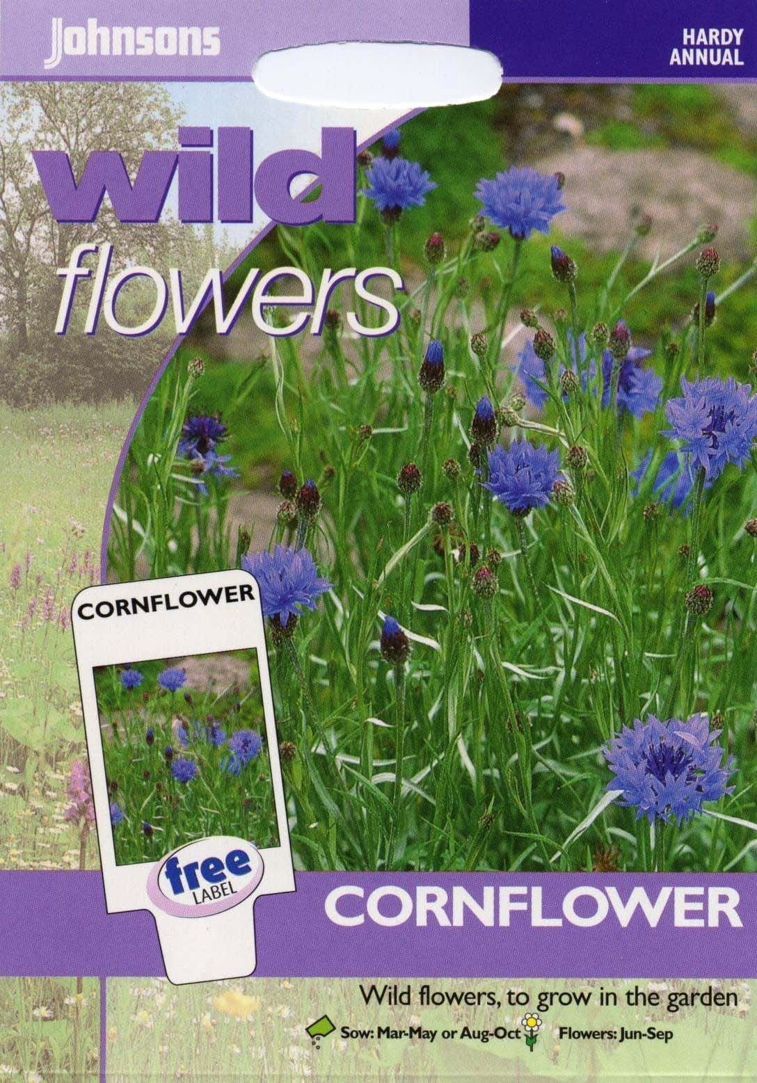 Johnsons Wildflower Cornflower 150 Seeds