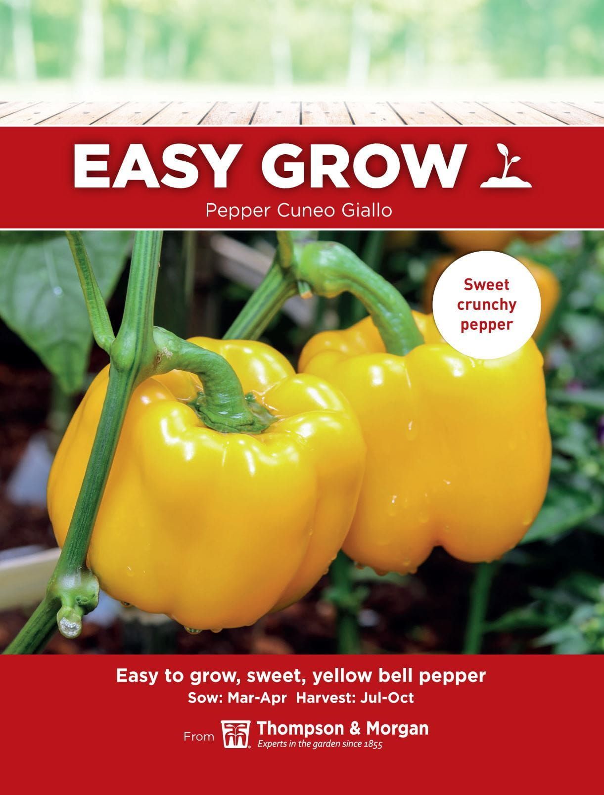 Thompson & Morgan - EasyGrow - Vegetable - Sweet Pepper - Cuneo Giallio - 8 Seeds