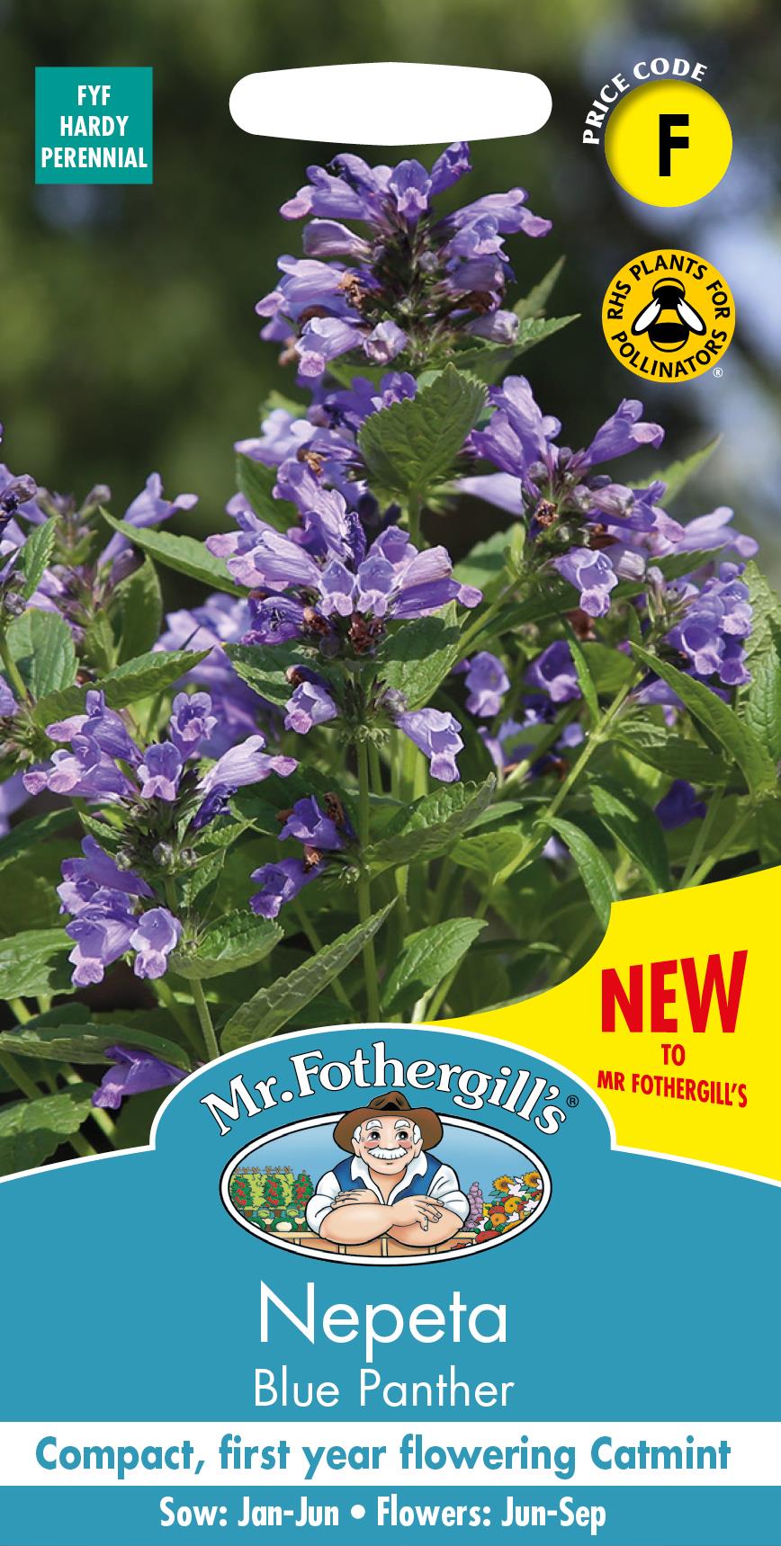 Mr Fothergills - Flower - Nepeta - Blue Panther - 25 Seeds