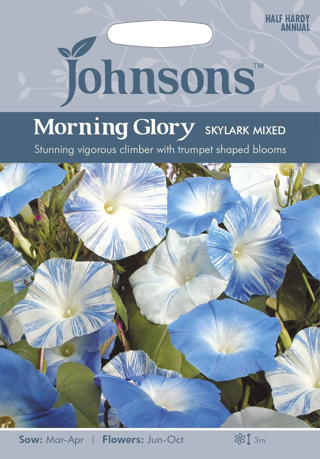 Johnsons Morning Glory Skylark Mixed 30 Seeds