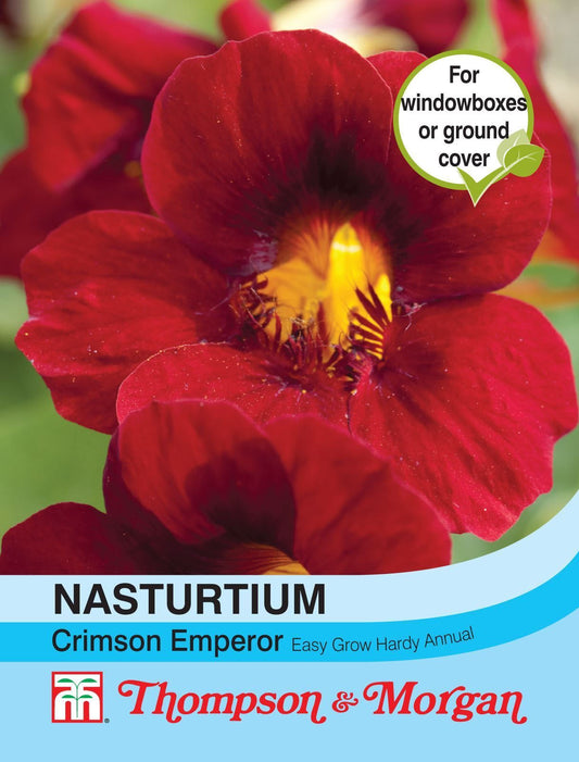 Thompson & Morgan Nasturtium Crimson Emperor 30 Seed