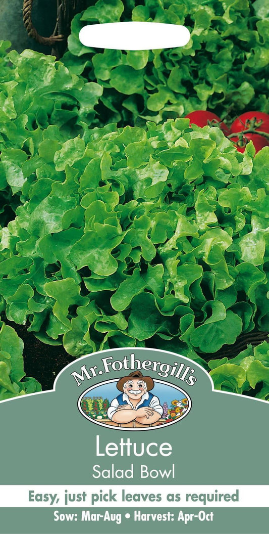 Mr Fothergills Lettuce Salad Bowl 1250 Seeds