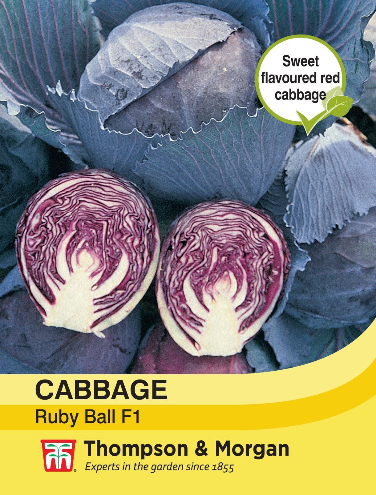Ruby Morgan Thompson & Morgan Cabbage Ruby Ball F1 Seed – JustSeed