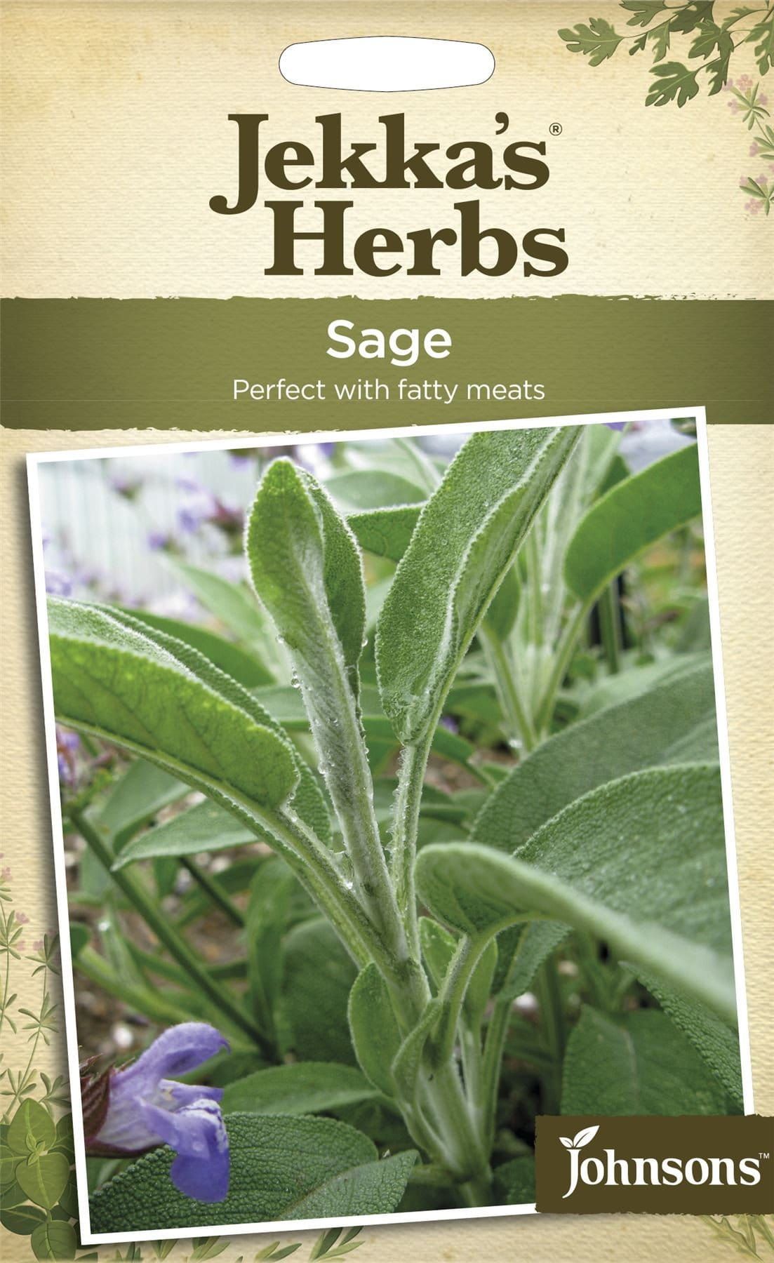 Johnsons Jekka's Herbs Sage 150 Seeds