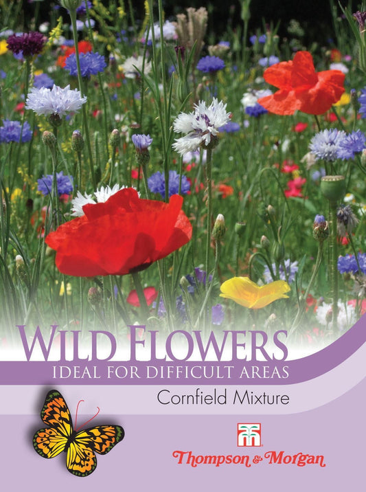 Thompson & Morgan Wild Flower Cornfield Mix Seed