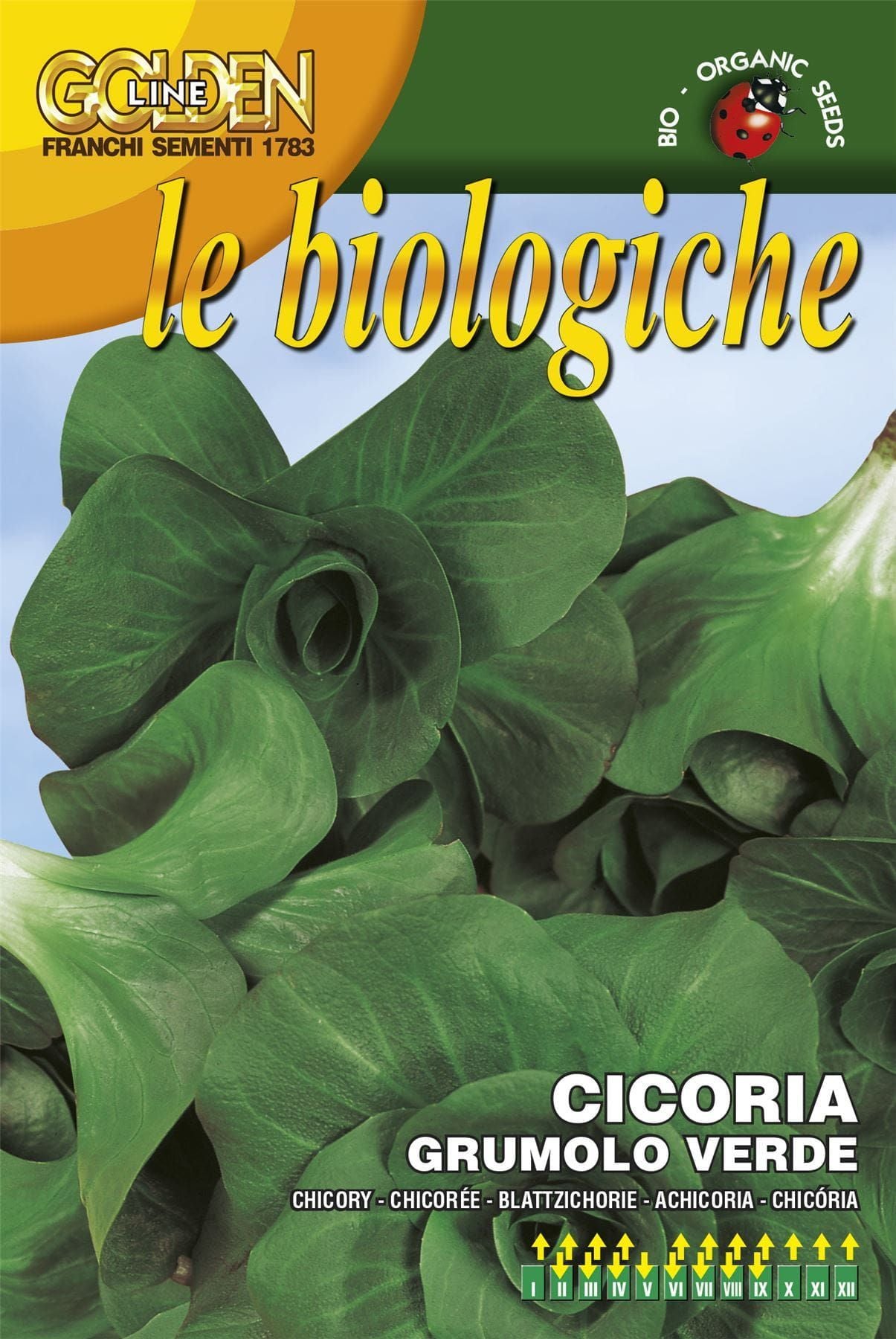 Franchi Organic BIOB40/2 Chicory Grumolo Verde Seeds