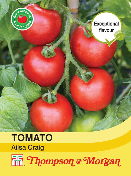 Thompson & Morgan Tomato Ailsa Craig 75 Seed