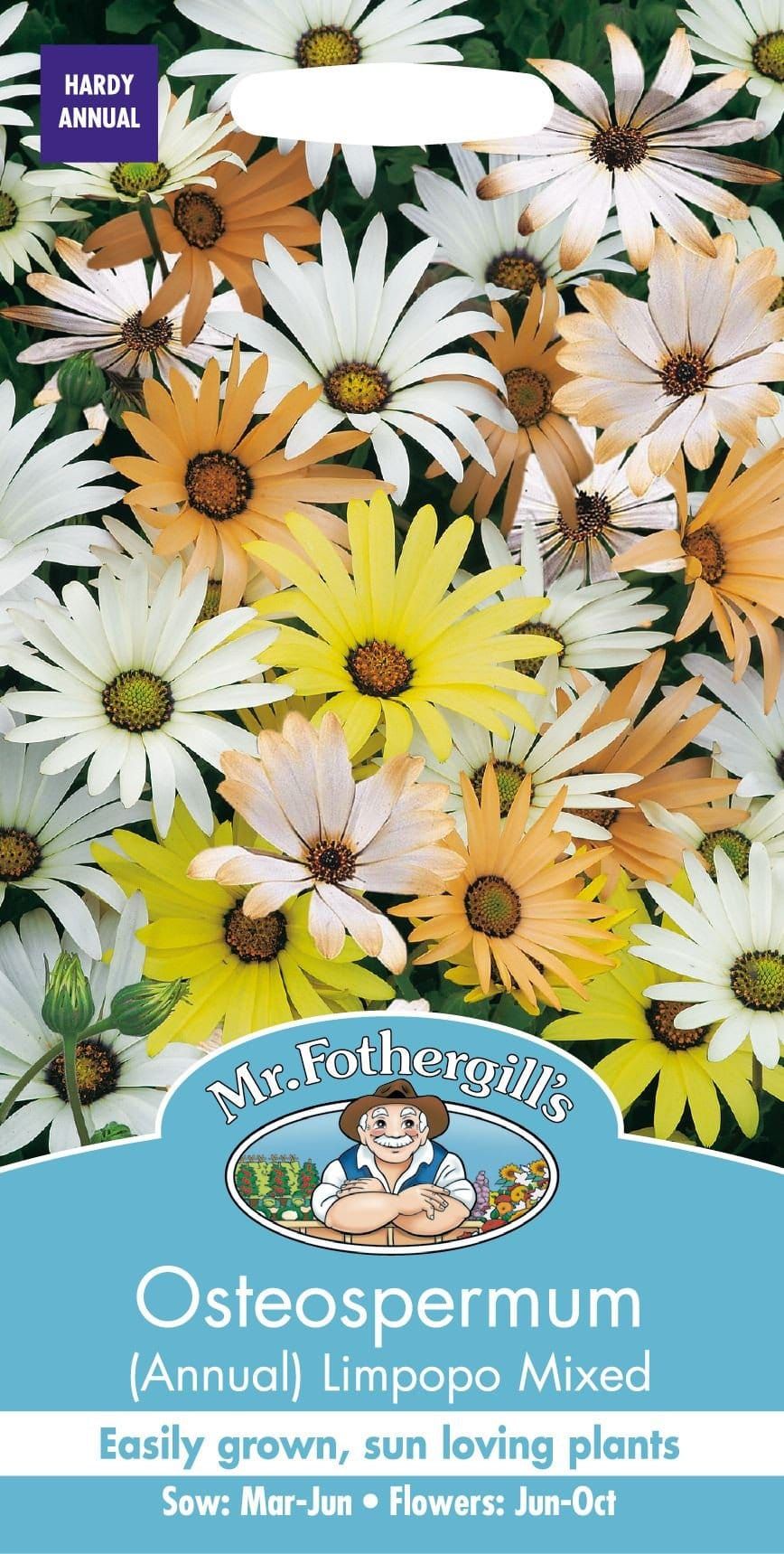 Mr Fothergills Osteospermum Limpopo Mixed 150 Seeds