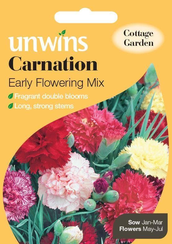 Unwins Carnation Early Flowering Mix 100 Seeds