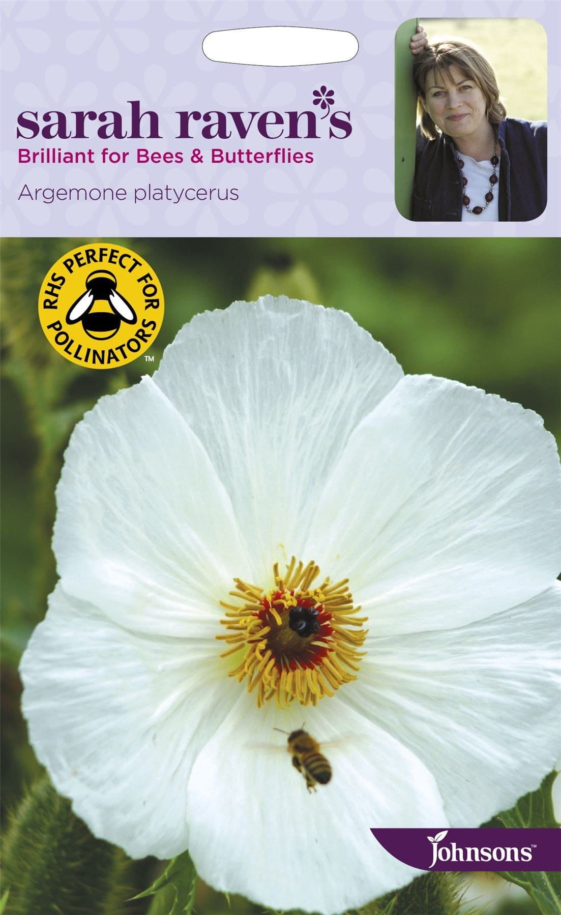 Johnsons Sarah Raven's Argemone Platycerus Prickly Poppy 100 Seeds