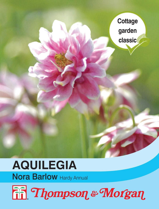 Thompson & Morgan Aquilegia Nora Barlow 50 Seed