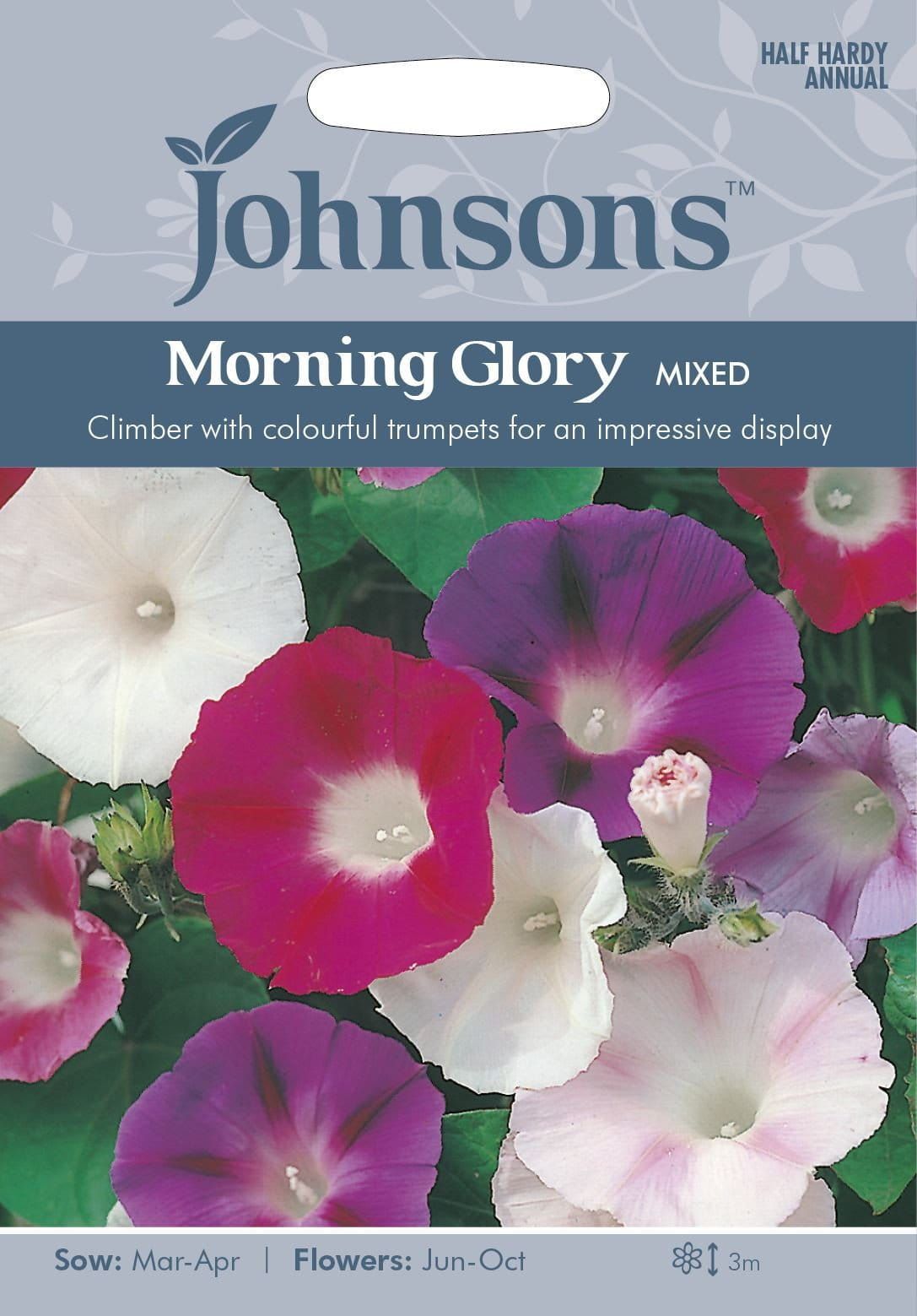 Johnsons Morning Glory Mixed 50 Seeds
