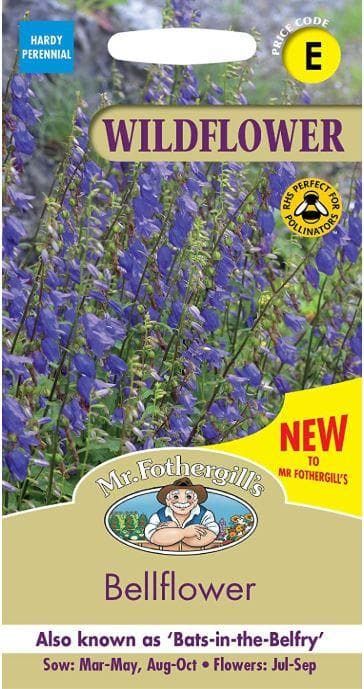 Mr Fothergills - Wild Flower - Bellflower  - 250 Seeds