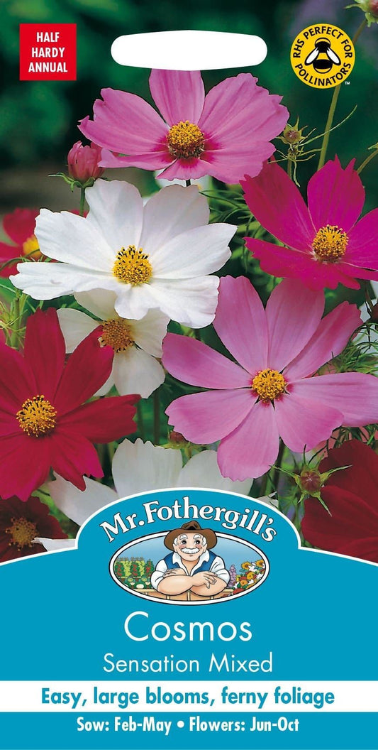 Mr Fothergills Cosmos Sensation Mixed 120 Seeds