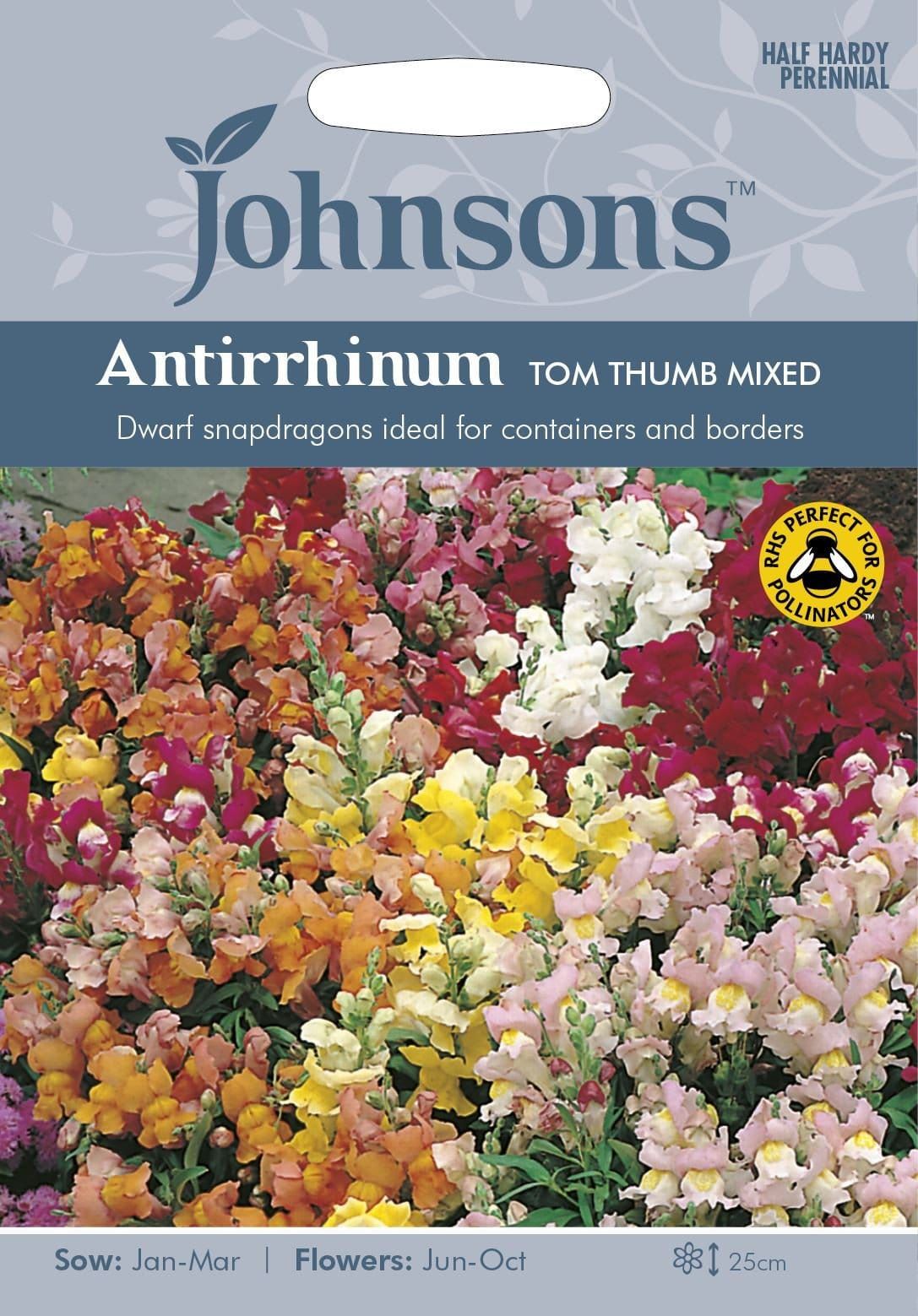 Johnsons Antirrhinum Tom Thumb 1500 Seeds