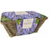 Taylors Large Hyacinth Wicker Basket 6 Blue Hyacinth Bulbs
