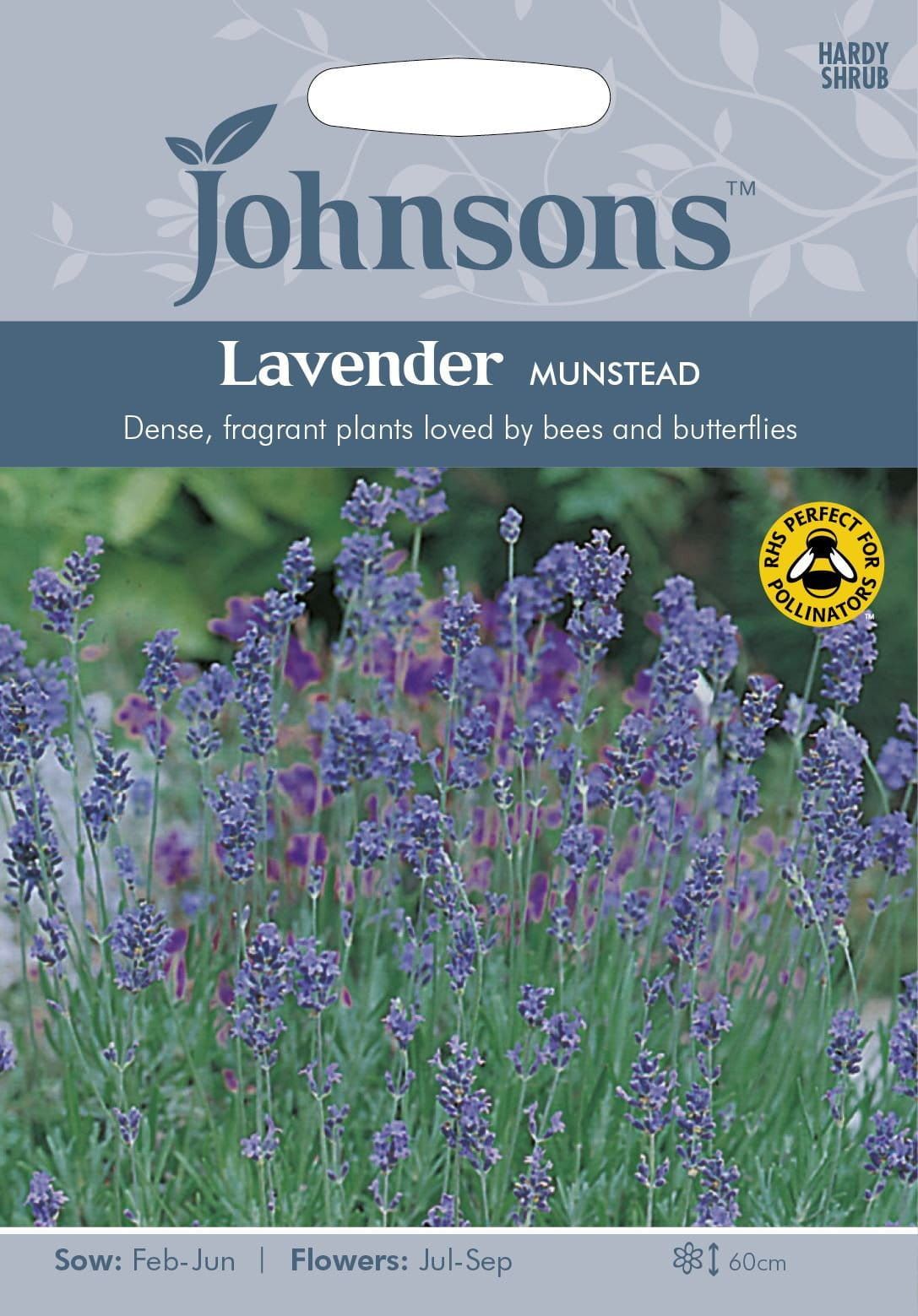Johnsons Lavender Munstead Strain 150 Seeds