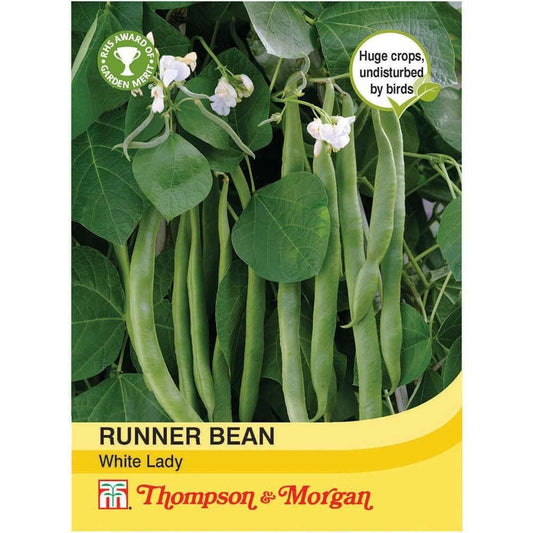 Thompson & Morgan Runner Bean White Lady 30 Seed