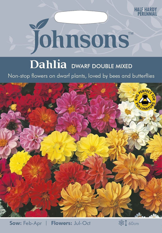 Johnsons Dahlia Dwarf Double Mixed 50 Seeds