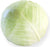 Organic White Cabbage Kalorama RZ F1