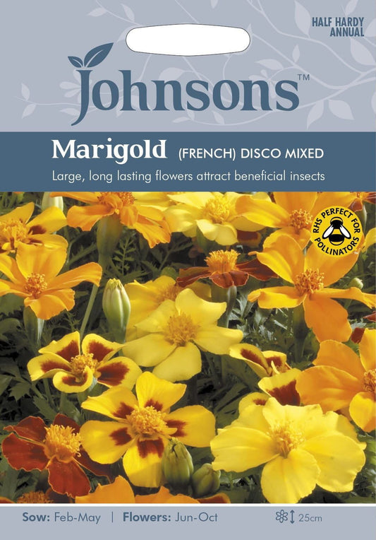 Johnsons French Marigold Disco Mixed 60 Seeds