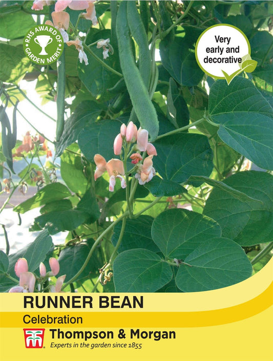 Thompson & Morgan Runner Bean Celebration 40 Seed