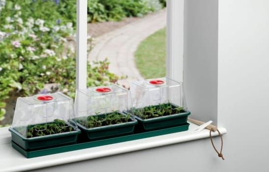 Garland Three Top Windowsill Propagator G171 - Greenhouse Grow Seeds