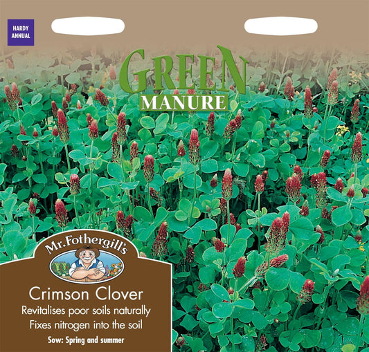 Mr Fothergills Green Manure Crimson Clover 51g Seeds