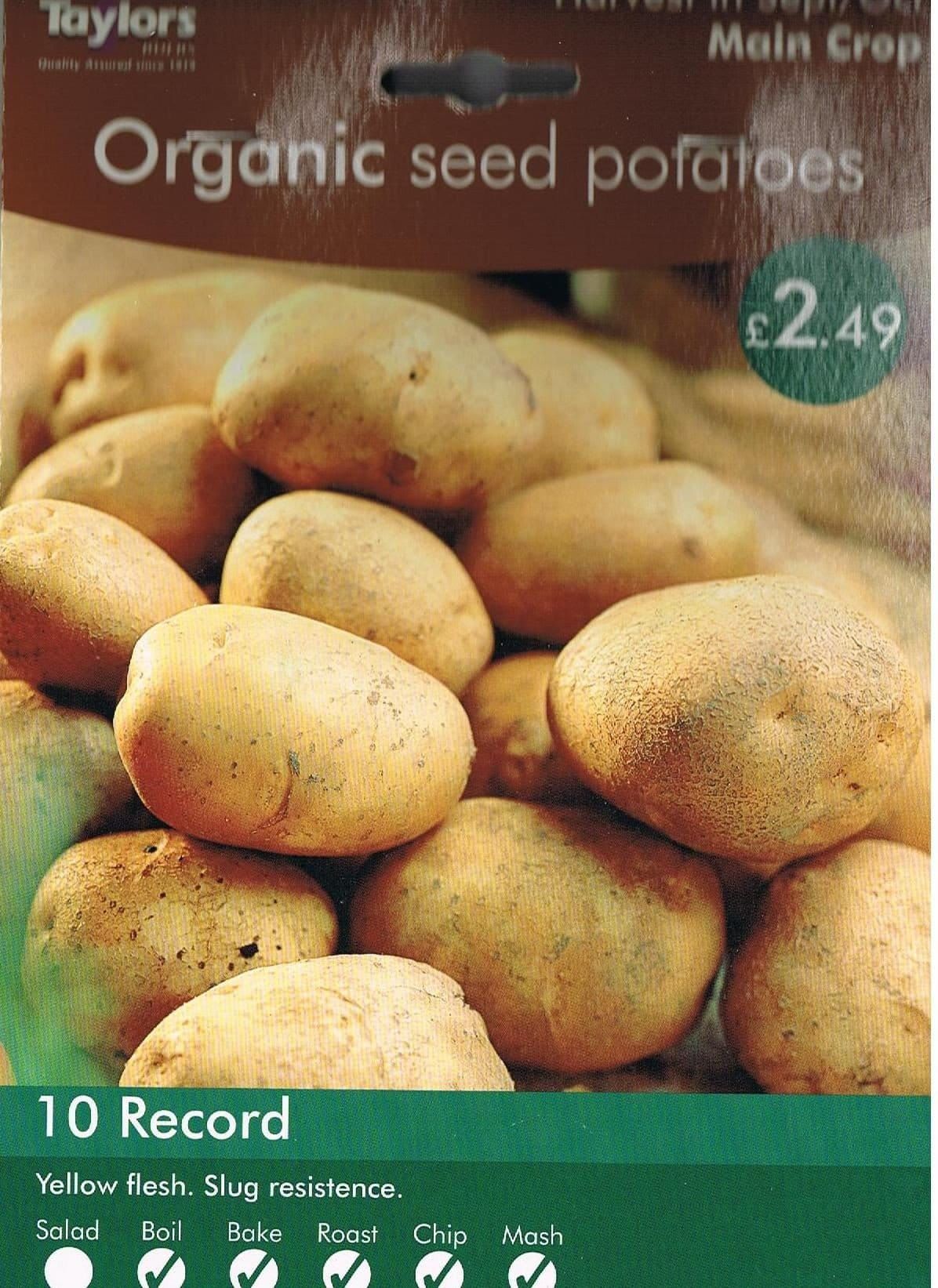 Taylors Seed Potatoes Record Organic 10 Tubers Main Crop