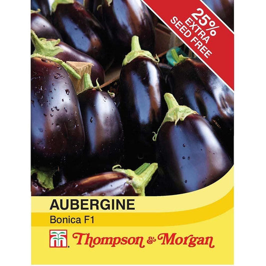 Thompson & Morgan - Vegetable - Aubergine - Bonica - 13 Seeds