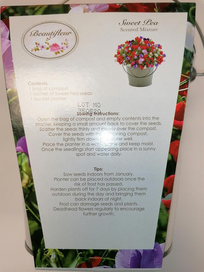 Beautifleur - Sweet Pea Metal planter Seeds