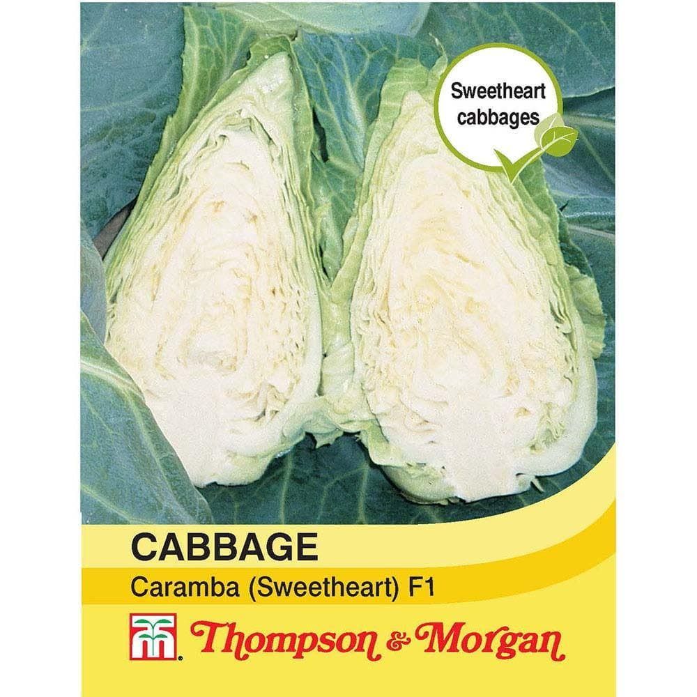Thompson & Morgan Cabbage Caramba F1 Hybrid (Sweetheart Type) 30 Seed