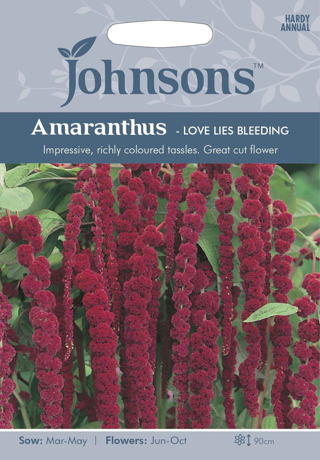 Johnsons Love Lies Bleeding Amaranthus 1500 Seeds