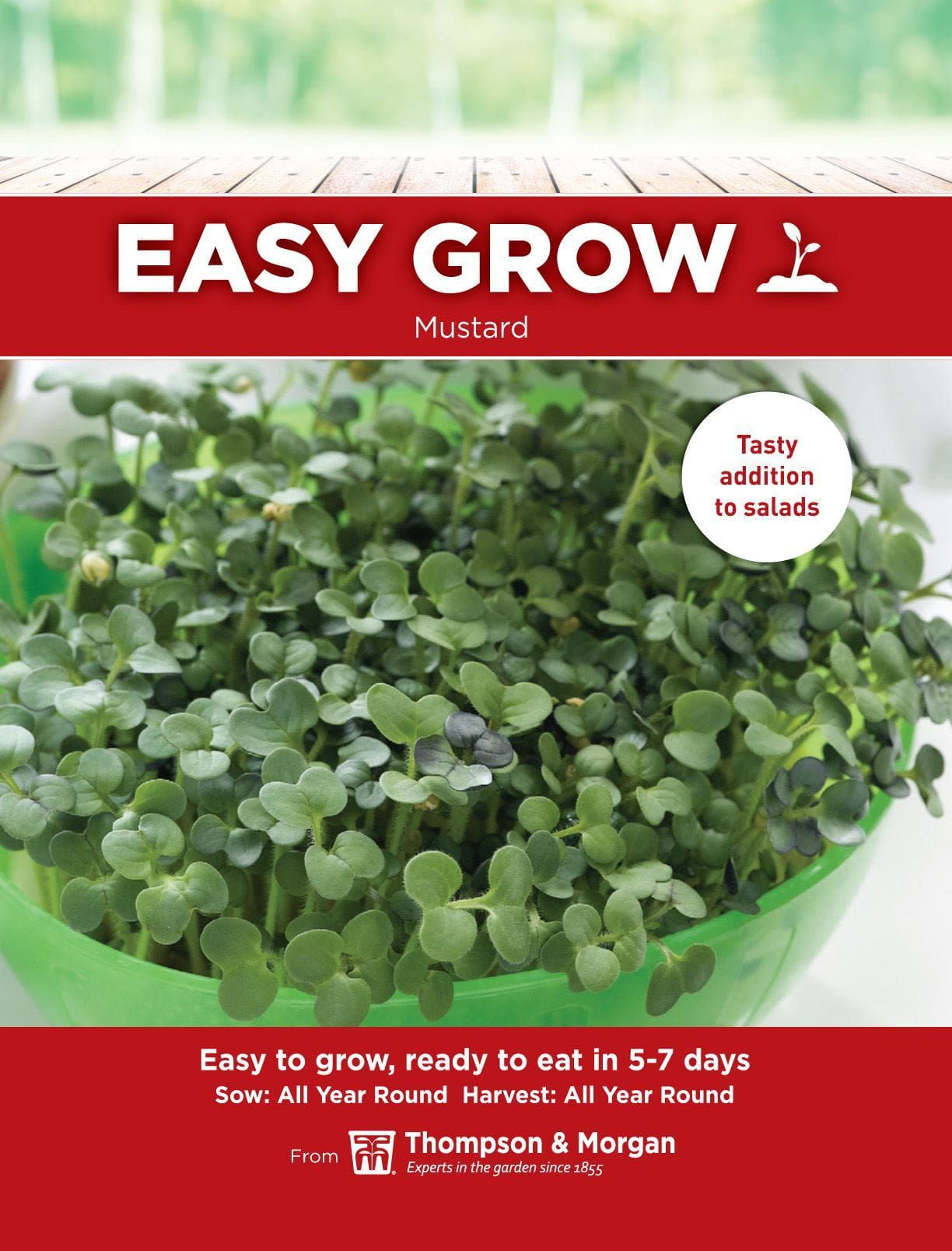 Thompson & Morgan - EasyGrow - Vegetable - Mustard - 1000 Seeds