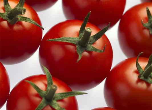 Organic Tomato Cheramy RZ F1 Hybrid (72 - 122) GSPP Seeds
