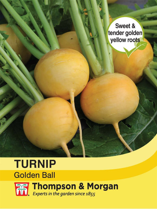 Thompson & Morgan Turnip Golden Ball 1000 Seed